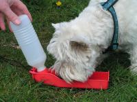 Klik op de foto voor groter formaat